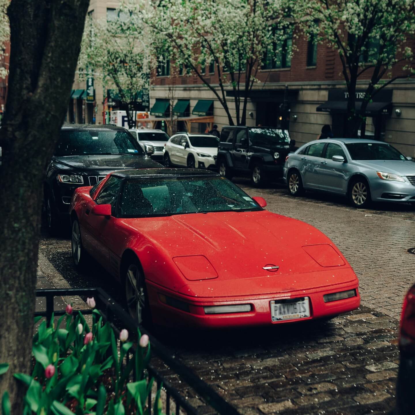 Red Car Full Screen Image